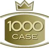 +1000 case costruite