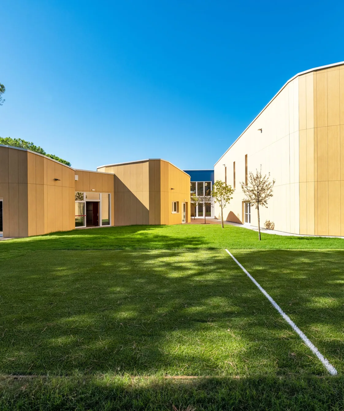 Scuola Primaria “Catullo”