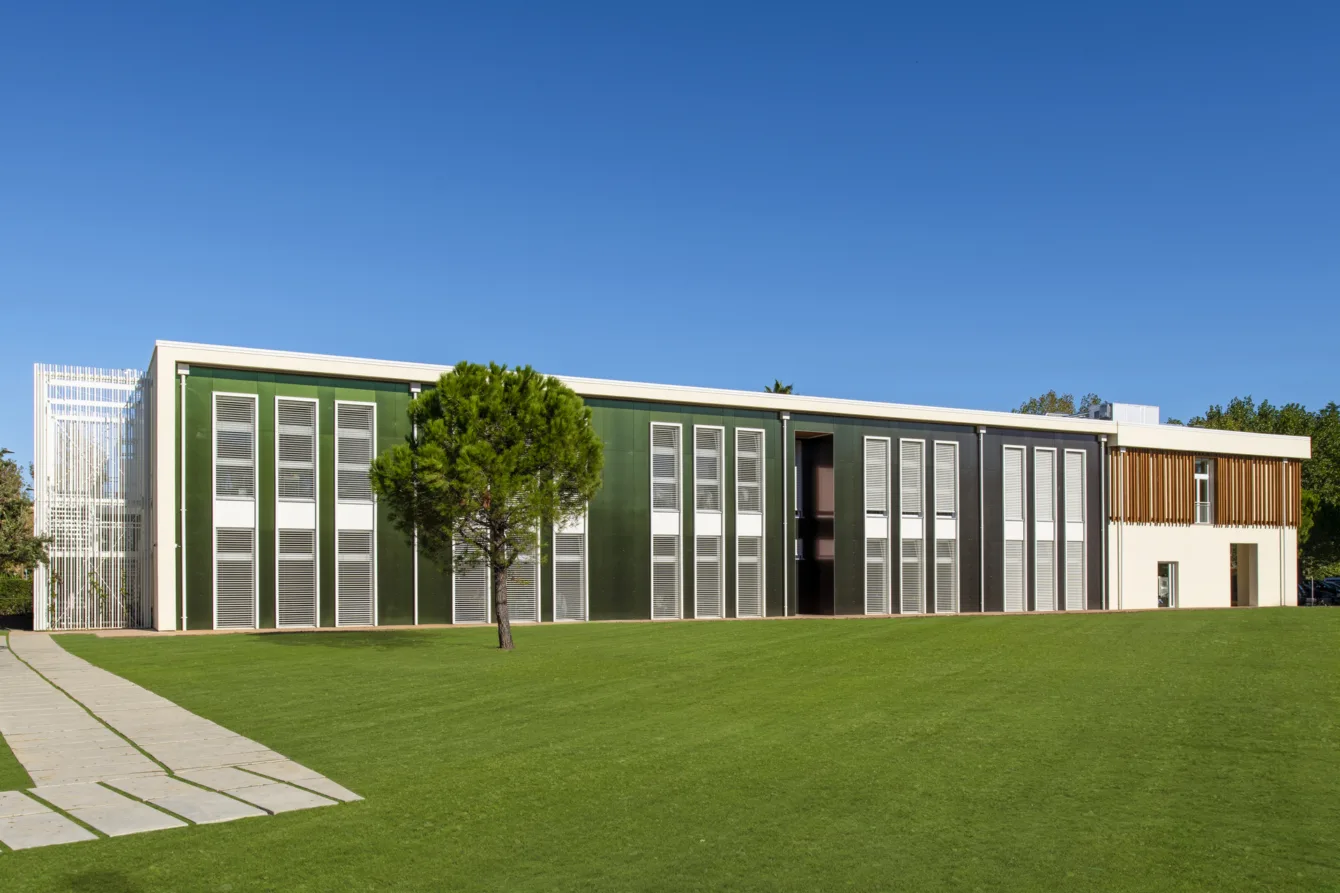 Scuola Primaria “Montessori”